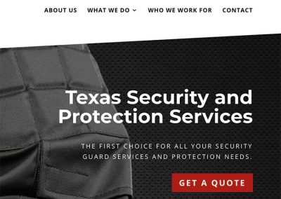 Axis Protection, LLC – Web Design