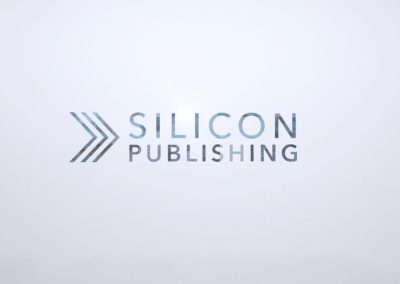 Silicon Publishing